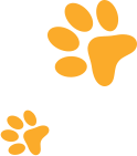Dog-paw-left-side