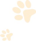 paw-orange-left-side
